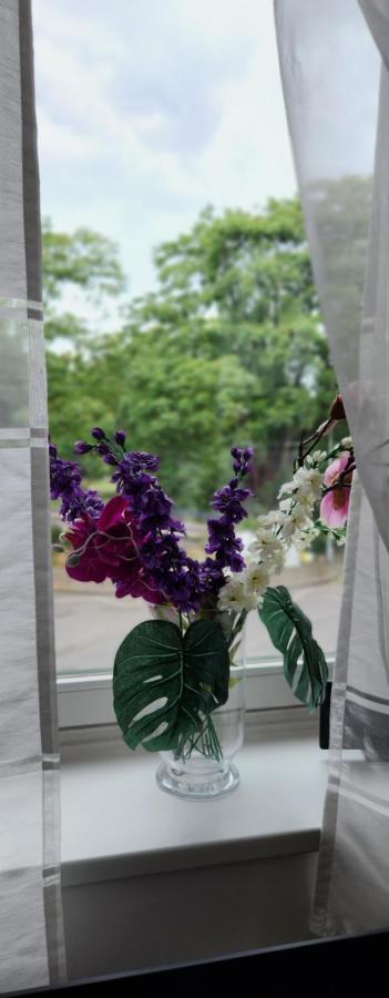 Elena Flat Orchidee Duisburg Zentrum Eksteriør bilde